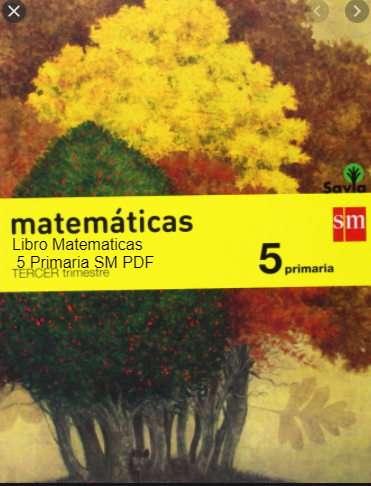 SM PDF Matemáticas 5 Primaria Material Fotocopiable, Examen, Libro Completo y Solucionario